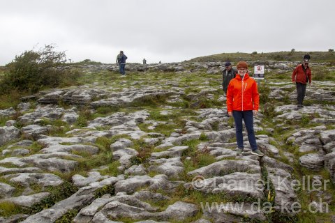 Irland 2026